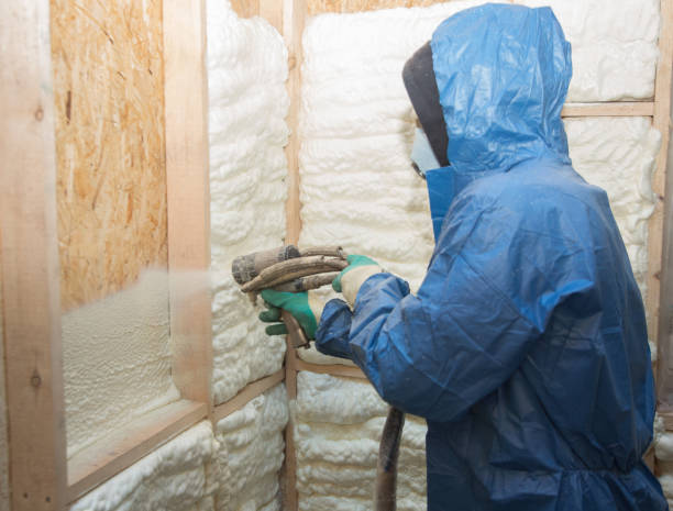 Types of Insulation We Offer in St Paul, MN